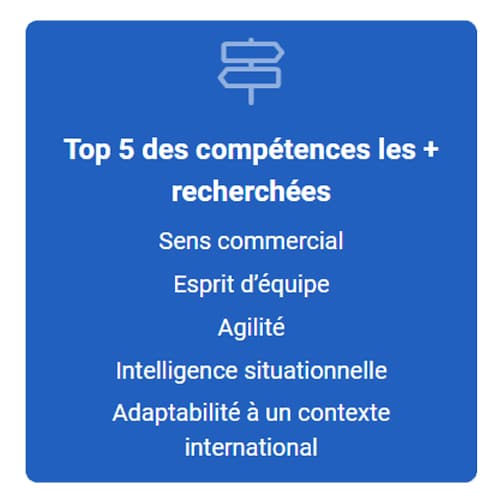 enquete-michael-page-esmd-competences